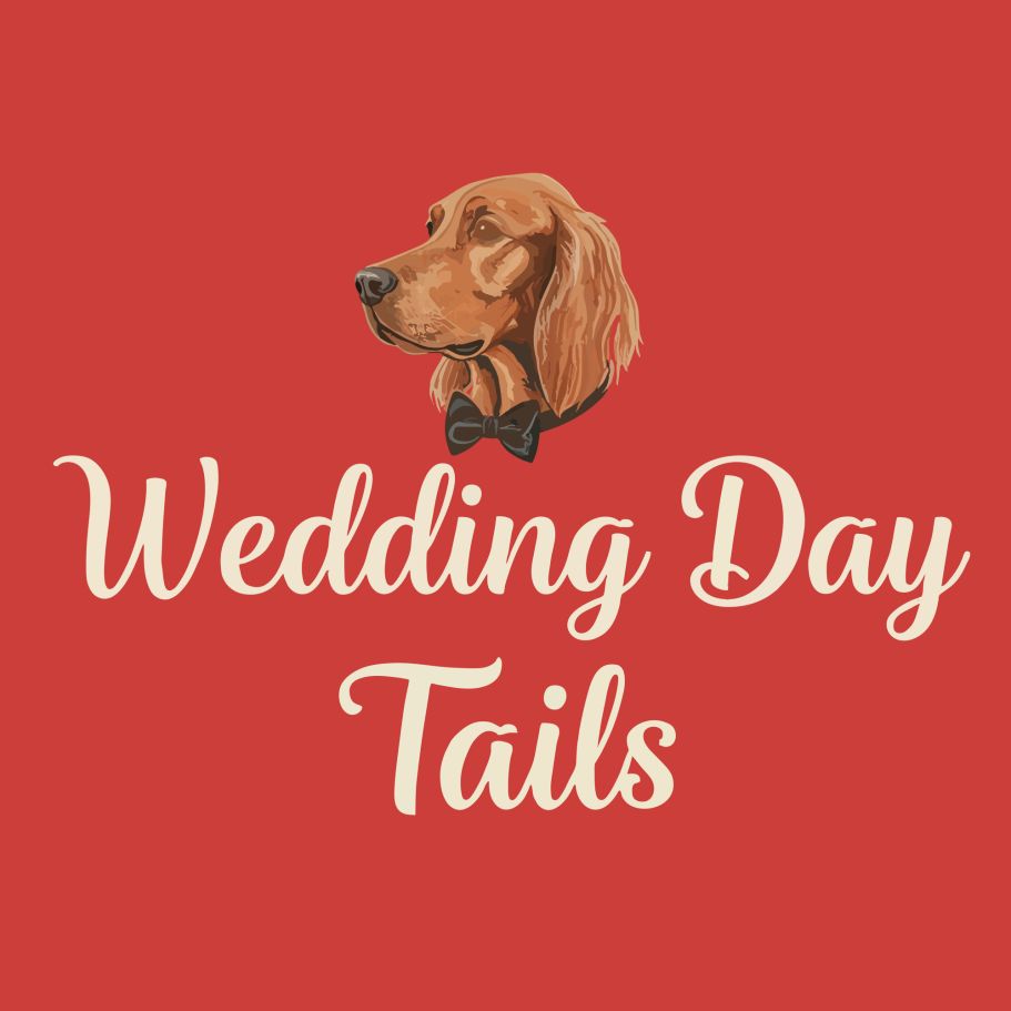Wedding Day Tails